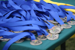 Medals Blue