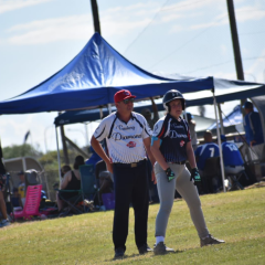 NBC24-Gauteng-Women-mixed-action-017