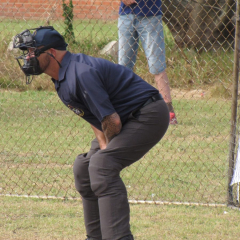 Umpires-action-2