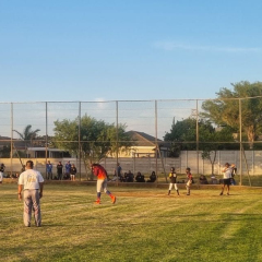 CardinalsNightball001