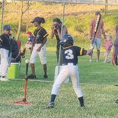 CardinalsNightball002