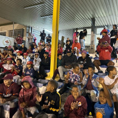CardinalsNightball021