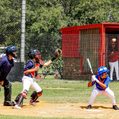 PHOTO-2023-04-03-23-42-22