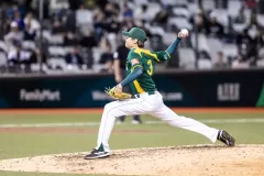WBC South Africa vs Spain