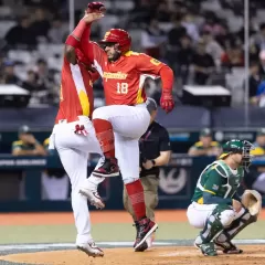 WBC-SA-vs-Spain-007