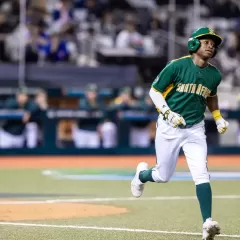 WBC-SA-vs-Spain-055